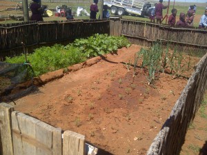 Copy of FS0087 - WILLIAMSTRIP 03